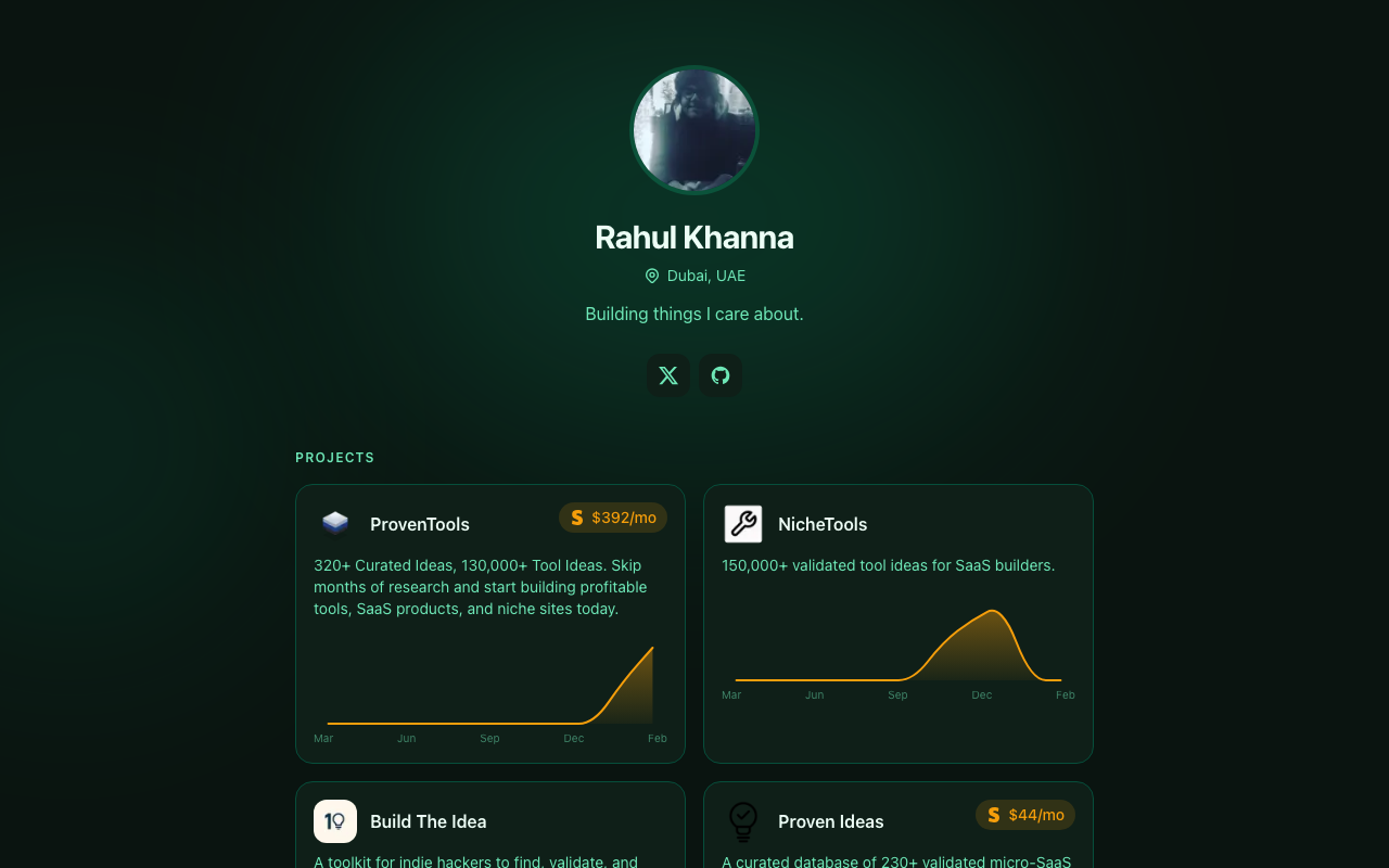 Developer portfolio example